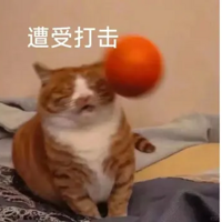 ͽɡжˬЩ˼ֵ̫òο