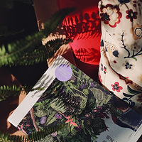 ������е�����