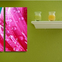 ������ 8�����ɫС��