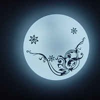 ����ɹ�Ҽҡ�+���Ƴ���