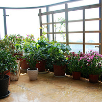 �ϰ׵���̨�����ˣ�԰��5��14�����ӿ����ˣ�