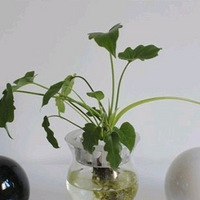 �����ҵ���ʮƽ�ڰ׷���ԼС�鷿������