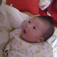 �ҵ�˳������