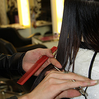 ���·������ �ﶬ�任���ͺ����飬���¶����Ƽ�����