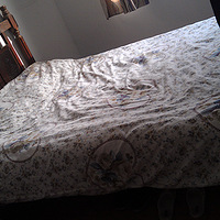 �����Ұ����+��������~