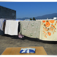 �����Ұ����+����ô��������~����