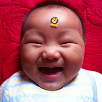 ̨��������������С���飡