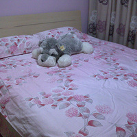 �����Ұ����+�Ҹ�LQ��ůů����