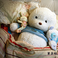 �����Ұ����+�ܹ���ɹ����