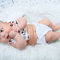 [���ű���̨������]+�����ɰ�