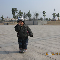 [���ű���̨������]+ţ����֮������Ȫ