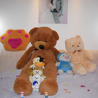 [���Ұ�����]+�����������ǳ�