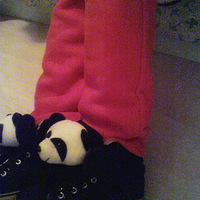 ��ɹ������+ʦ̫�Ķ���