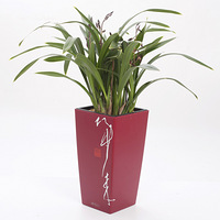 ���ڹ���ֲ����ѡ