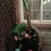 �����Ҽҵ�Ƥ�ɰ���Amy