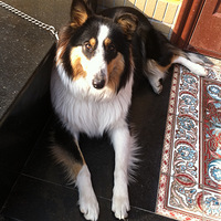 �����߶�%>_<% Ѱ����ʾ~~~~(>_<)~~~~