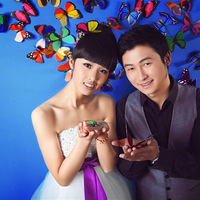 ��SHOW���Ĺ���    ��������