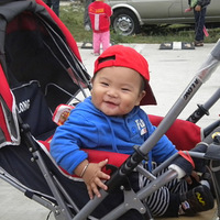 С�ϻ�����������