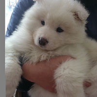 �Ҽ�С����19¥¶���� ��ذ�~~~~