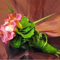 �������� �����ϵ������羰