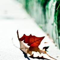 ̤ ݡ̫ 1¥ƪ