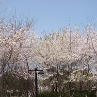 �������˽��γ��Ϲ�԰��.....ɹ������Ŷ