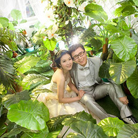 �����Ż�ɴȥ���Ρ��������ҡҷ������ǰ��