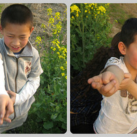 ̤��ȥ������