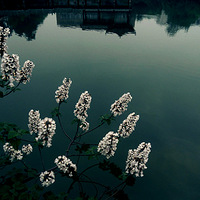 ��С�����Ь��Ь��~�ҵ�Ŷ��