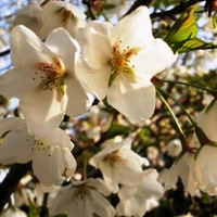 ����ǧ�ٻ���С�ʡ�--ʲô��С�ʣ�