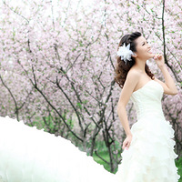 ����ɹ��ɴ��ඣ�ϣ���յ�ף����!