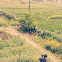 ����ĸ�����ʽ����