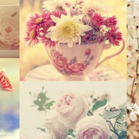 ���������Ӧ��������ɫ