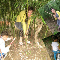 �������ķḻ����----Ұ��