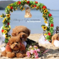 ��ֻС���Ļ��񣡣�����