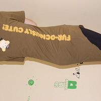 Harajuku Loversԭ�ް��ˣ�����ǳ������ݰ������˾�Ҫ��