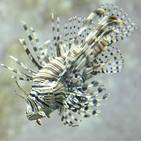 5��5�մ���ȥ����...����ǣС��