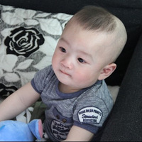 ��11��������������Ƭ��������