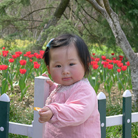 ����������¼