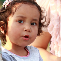 ��ӡ���� ���� 0529����