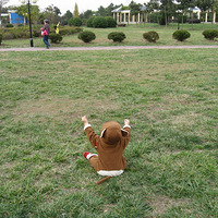 61������- ����������