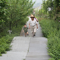 ȫ�������ƺ