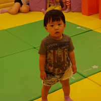 ���ױ��������