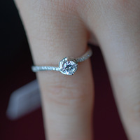 �⼸���������ÿ��������ǰ�������