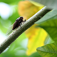 ��������Ĺ��������������ļ����С������