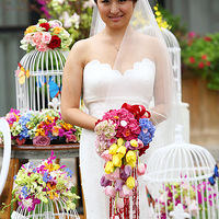 �����Ļ�--�費���