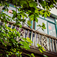 ������ֱ���䡿Because of you  S&W 5.1���»���ع� �ٴθ���