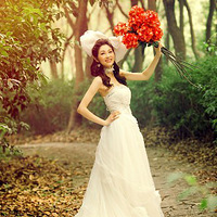 ɹ�Ĳ������֣����ǻ�ɴ�գ����Ҹ���(����������)