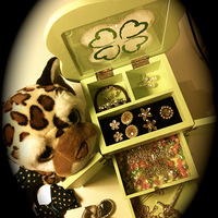 ����Ʒ��ݰ������£�����