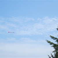 ̨������ ȥ�ൺ���ܱ̺�����